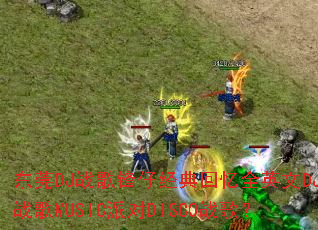 ��ݸDJս����о������ȫӢ��DJս��MUSIC�ɶ�DISCOս�裿