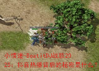 С����-BeatitDJս��2025�������Ȳ������������ʲô��