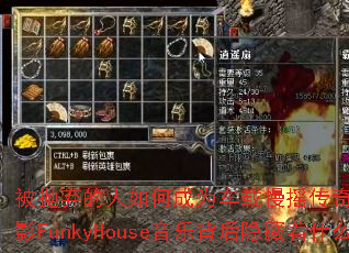 ������������γ�Ϊ������ҡ���棿�⴨DJս���ӰFunkyHouse���ֱ���������ʲô���ܣ�