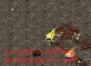 ��ˮDJս��Pear����������ѩս�������°�Сҹ����