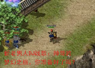 ��������DJս�裺˧����λ�֮�ã���׼��������