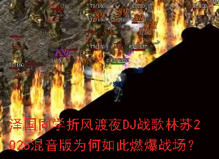 ���ͬѧ�۷��ҹDJս������2025������Ϊ�����ȼ��ս����