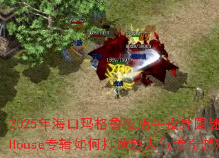 2025�꺣�����³ҹ����ҹ����Իõ�������Houseר����δ��쳬����������Ϸս�裿