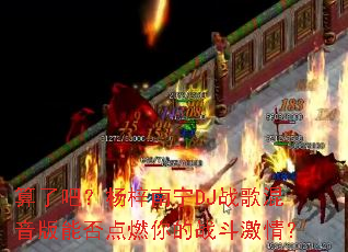 ���˰ɣ���������DJս��������ܷ��ȼ���ս�����飿