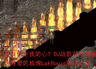 ��˭͵���ҵ��ģ�DJս���㲼��ҡ�ع���Ȱ���õ��LakHouse����֮��