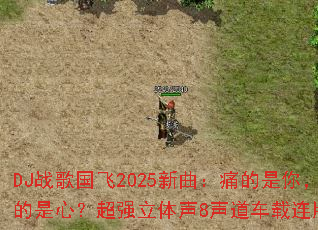 DJ战歌国飞2025新曲:痛的是你,伤的是心?超强立体声8声道车载连版大碟 DJ战歌国飞2025新曲:痛的是你,伤的是心?超强立体声8声道车载连版大碟