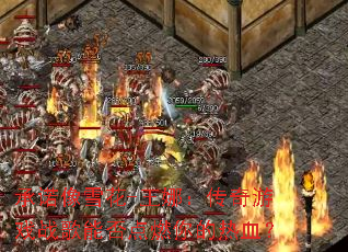 ��ŵ��ѩ��-���ȣ�������Ϸս���ܷ��ȼ�����Ѫ��
