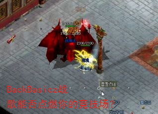 BackBasiczս���ܷ��ȼ��ľ�������