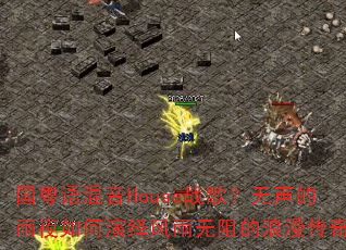 ���������Houseս�裿��������ҹ����������������������棿