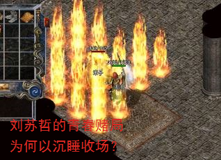 刘苏哲的青春赌局为何以沉睡收场? 刘苏哲的青春赌局为何以沉睡收场?