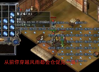 从前你穿越风雨都会仓促见一面? 从前你穿越风雨都会仓促见一面?