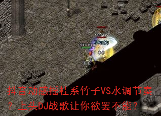 抖音动感摇桂系竹子VS水调节奏?上头DJ战歌让你欲罢不能? 抖音动感摇桂系竹子VS水调节奏?上头DJ战歌让你欲罢不能?
