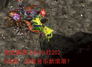 �����˹��DJСݦ2025ս�裺��Ϸ�������˳���