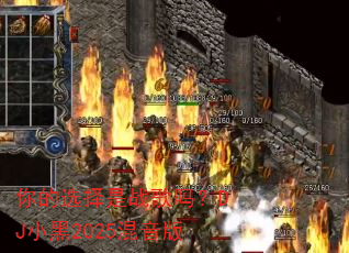 你的选择是战歌吗?DJ小黑2025混音版 你的选择是战歌吗?DJ小黑2025混音版
