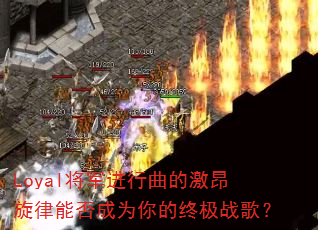 Loyal�����������ļ��������ܷ��Ϊ����ռ�ս�裿