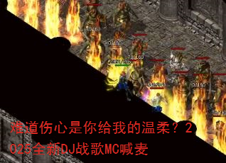 �ѵ�����������ҵ����᣿2025ȫ��DJս��MC����