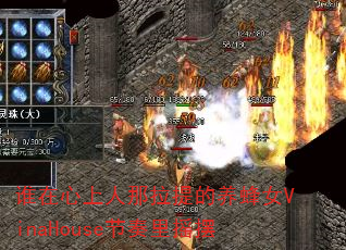 谁在心上人那拉提的养蜂女VinaHouse节奏里摇摆 谁在心上人那拉提的养蜂女VinaHouse节奏里摇摆