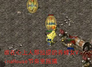 谁在心上人那拉提的养蜂女VinaHouse节奏里摇摆 谁在心上人那拉提的养蜂女VinaHouse节奏里摇摆