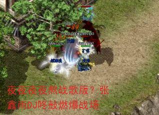 夜夜夜夜熬战歌版?张鑫雨DJ咚鼓燃爆战场 夜夜夜夜熬战歌版?张鑫雨DJ咚鼓燃爆战场
