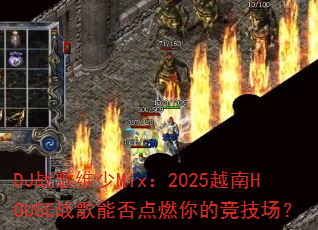 DJս��ά��Mix��2025Խ��HOUSEս���ܷ��ȼ��ľ�������