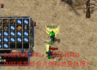 DJս��ά��Mix��2025Խ��HOUSEս���ܷ��ȼ��ľ�������