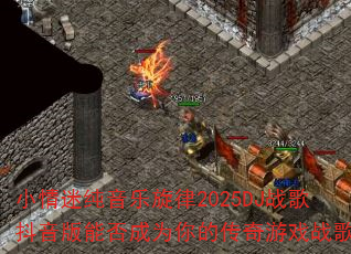С���Դ���������2025DJս�趶�����ܷ��Ϊ��Ĵ�����Ϸս�裿