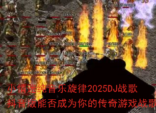 С���Դ���������2025DJս�趶�����ܷ��Ϊ��Ĵ�����Ϸս�裿