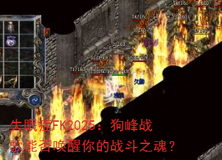 ʧ��֢FK2025������ս���ܷ������ս��֮�ꣿ
