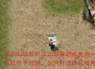 ����DJս�谢��2025���ɺ�����һ�����������ֳ�����δ����ռ�������Ϸս�裿