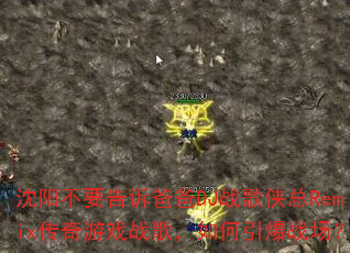 沈阳不要告诉爸爸DJ战歌侠总Remix传奇游戏战歌,如何引爆战场? 沈阳不要告诉爸爸DJ战歌侠总Remix传奇游戏战歌,如何引爆战场?