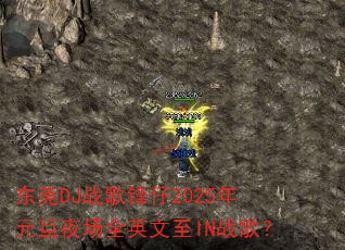 ��ݸDJս�����2025��Ԫ��ҹ��ȫӢ����INս�裿