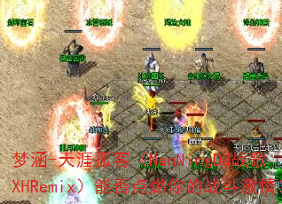 �κ�-���Ĺ¿ͣ�NanNingDJս��XHRemix���ܷ��ȼ���ս�����飿