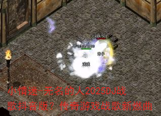 С����-��������2025DJս�趶���棿������Ϸս����ȼ��