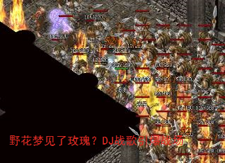 野花梦见了玫瑰?DJ战歌引爆战场 野花梦见了玫瑰?DJ战歌引爆战场