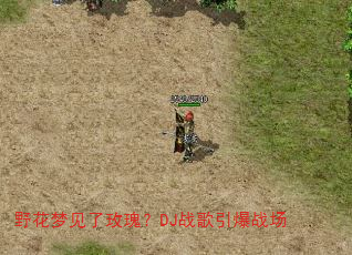 野花梦见了玫瑰?DJ战歌引爆战场 野花梦见了玫瑰?DJ战歌引爆战场