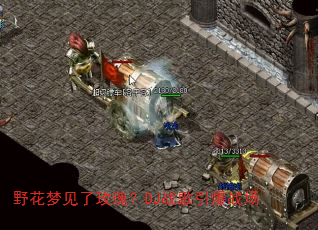 野花梦见了玫瑰?DJ战歌引爆战场 野花梦见了玫瑰?DJ战歌引爆战场