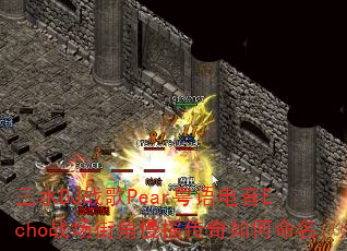��ˮDJս��Pear�������Echoս���ֽ���ҡ�����������