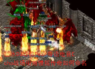 ��ˮDJս��Pear�������Echoս���ֽ���ҡ�����������