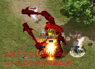 劲爆东南亚战歌VinaHouse?DJ筱布带你嗨翻战场 劲爆东南亚战歌VinaHouse?DJ筱布带你嗨翻战场