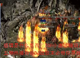 ������ʲô������TGHС�Ʊ��Ǻ�«�������Ȳ�����DJս��ĩ�ش���Ѱ�Ҵ�