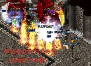 等我把我养的人养大,战场谁与争锋? 等我把我养的人养大,战场谁与争锋?