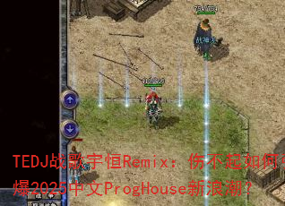 TEDJս�����Remix���˲����������2025����ProgHouse���˳���