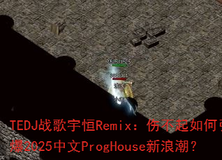 TEDJս�����Remix���˲����������2025����ProgHouse���˳���
