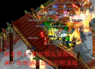 ��������-������ô����ô�棿������Ϸս���������
