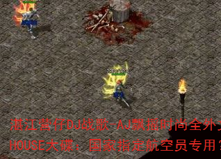 湛江营仔DJ战歌-AJ飘摇时尚全外文HOUSE大碟:国家指定航空员专用? 湛江营仔DJ战歌-AJ飘摇时尚全外文HOUSE大碟:国家指定航空员专用?