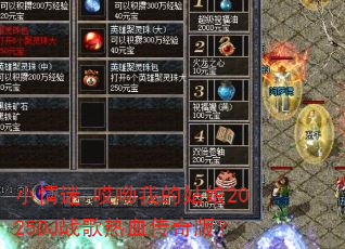 С����-�����ҵĹ���2025DJս����Ѫ����棿