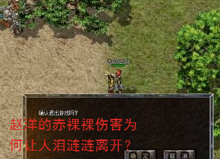 赵洋的赤裸裸伤害为何让人泪涟涟离开? 赵洋的赤裸裸伤害为何让人泪涟涟离开?