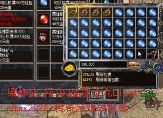 ������-��(DJս��С��ElectroRmx2025)������Ϸս��棿