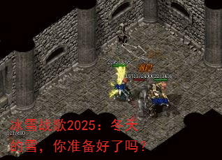 ��ѩս��2025�������ѩ����׼��������