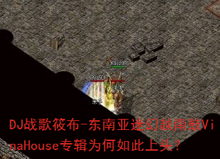 DJս���㲼-�������Ի�Խ�Ϲ�VinaHouseר��Ϊ�������ͷ��